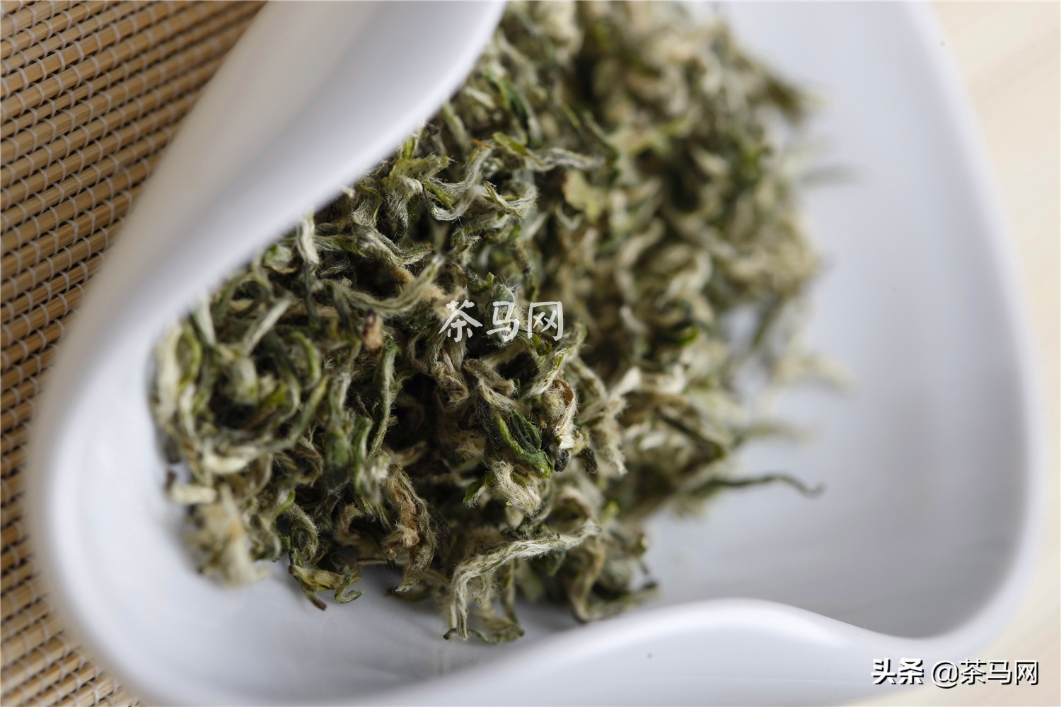 冷清世界里的一抹青春盎然——绿茶