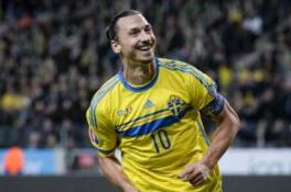 足坛经常进球,足坛一场个人进球最多是谁