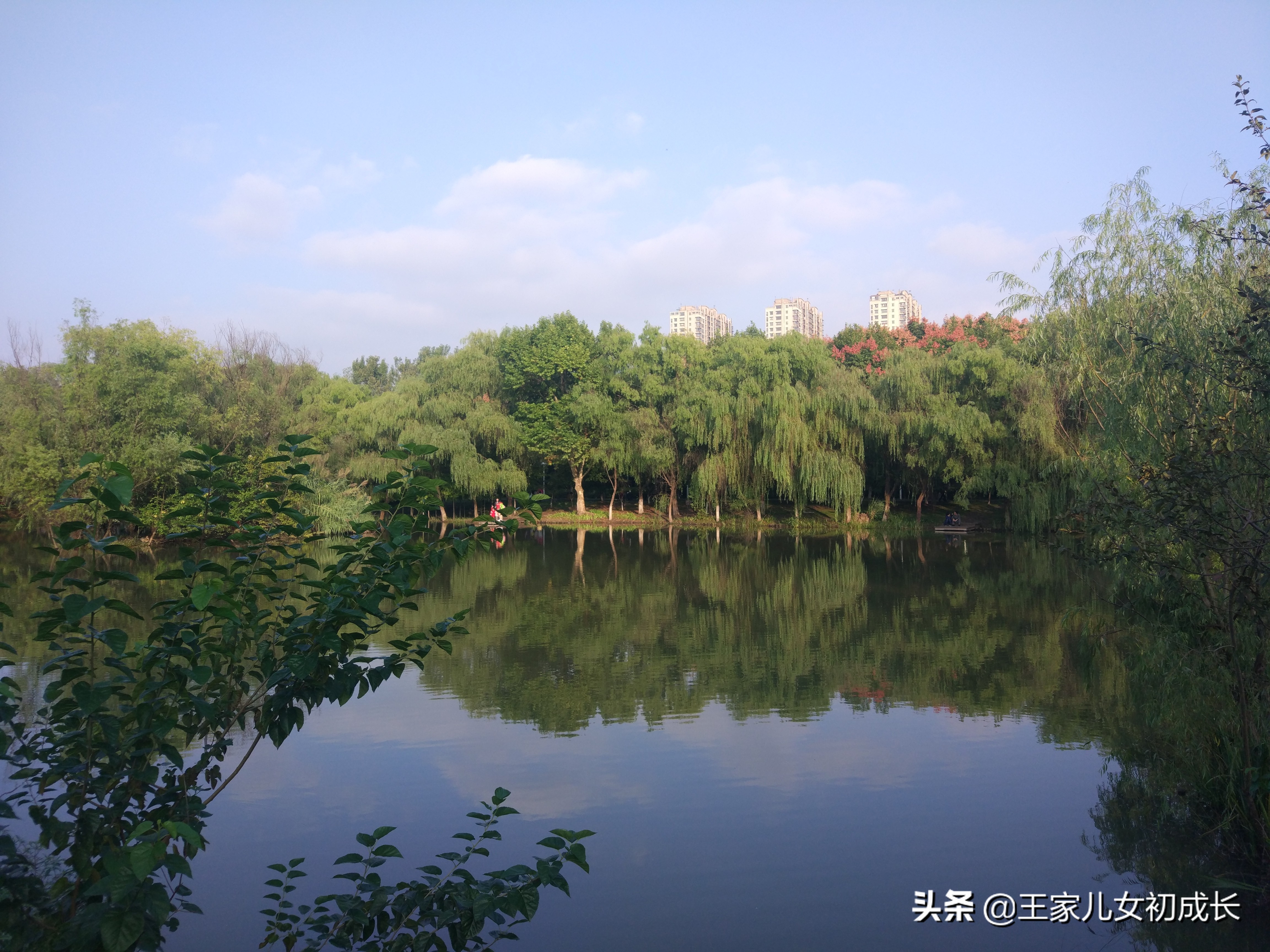 我的试管之路怎么样,我的试管之路第1集