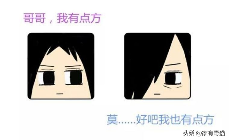 猫粮为何叫毒粮,猫粮和米饭哪个安全