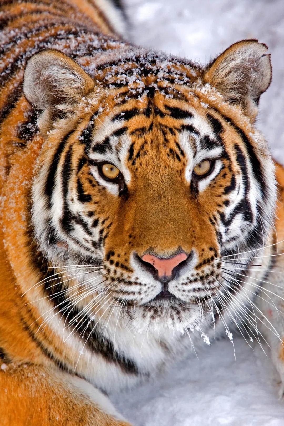 林业生态旅游科普,林草科普