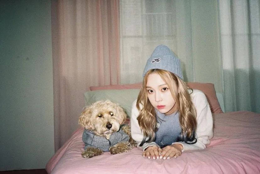 秋冬韩版小熊保暖帽,超级暖和可爱的小熊帽