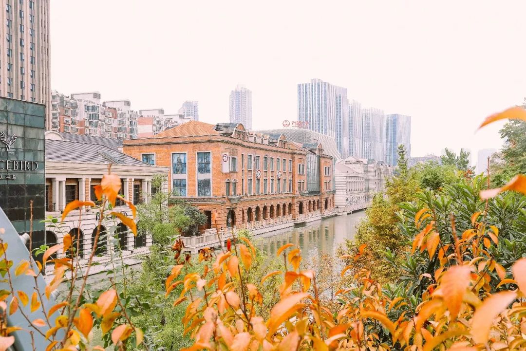 穿梭60年,武汉公交无轨电车1路