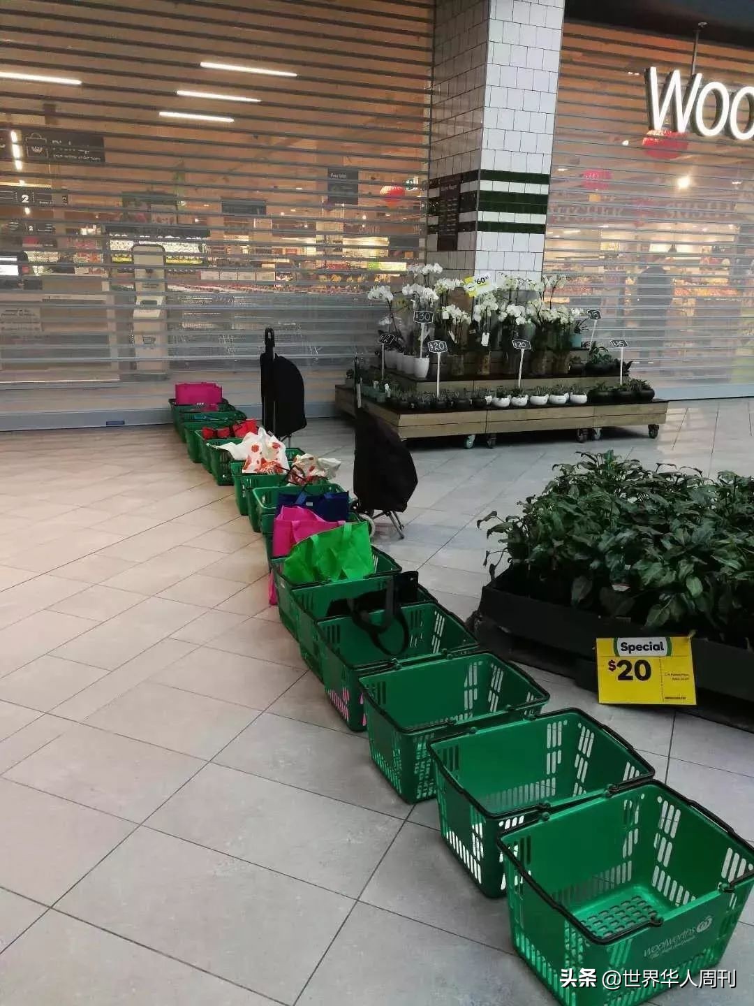 澳洲奶粉为什么不涨,澳洲奶粉还能买么