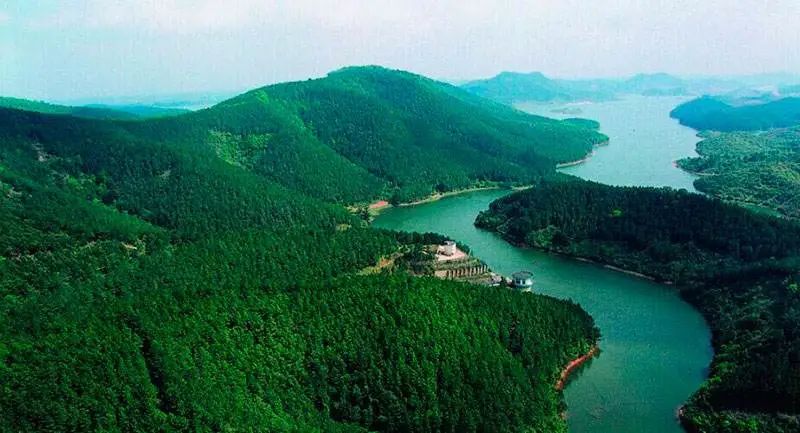 突然想去新疆旅游,突然好想去呼伦贝尔