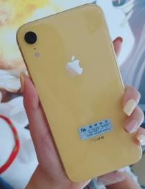 夭寿啦！宝可梦又要骗走我的钱包了