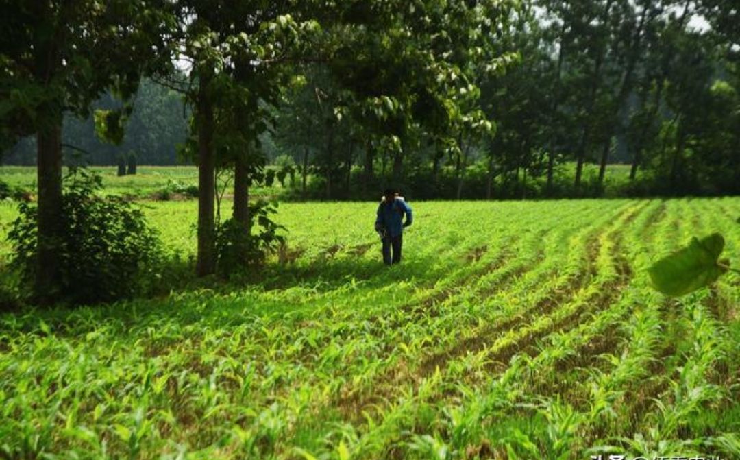 剧情绝佳的三本东方玄幻必读小说,三本高分热血玄幻类小说推荐