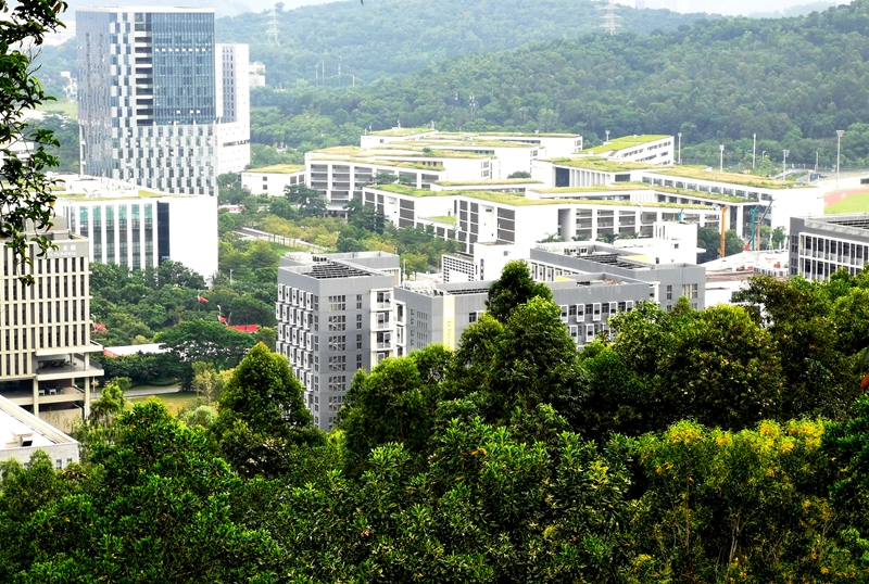 香港中文大学深圳学院校园风景,香港中文大学深圳校区校园环境