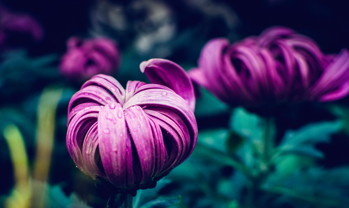 马看四蹄人有什么说法,马看四蹄人看四相