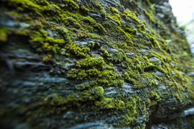 巍巍太行山山峰险峻,太行山奇峰峻岭