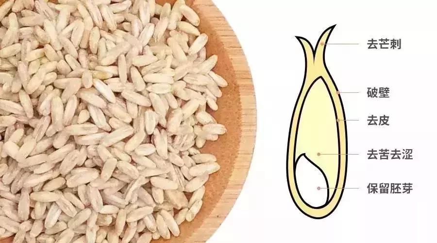 减肥坚持一个月暴瘦,减肥屡败屡战