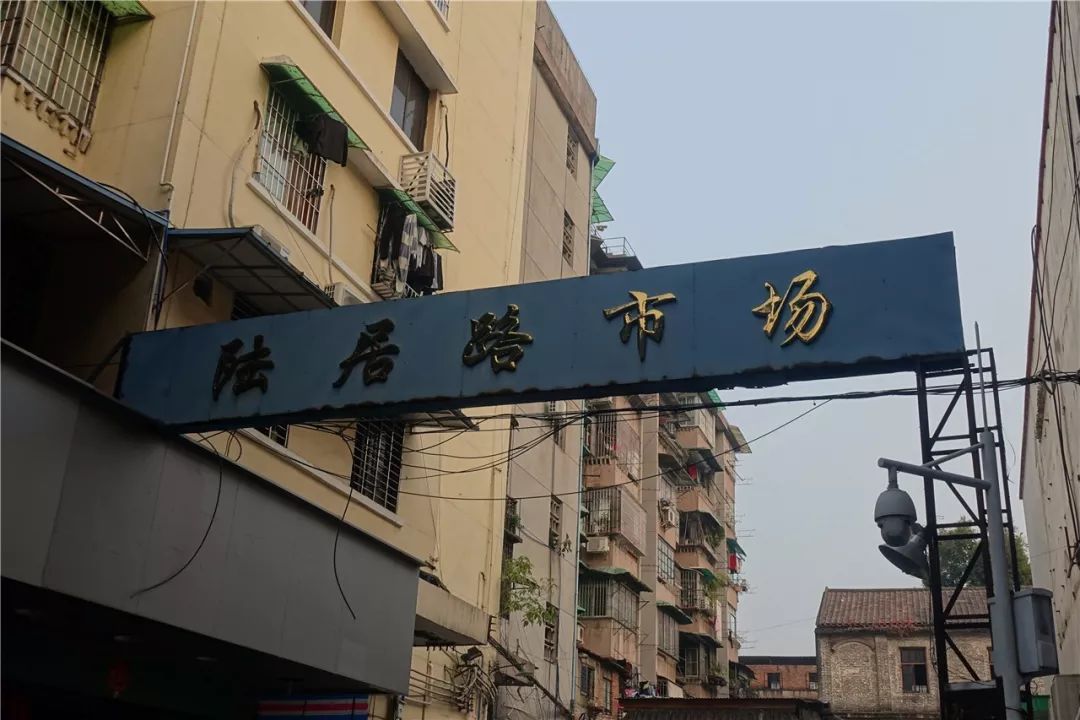 再见了相互嫌弃的老同学,再见了大别山原唱简谱