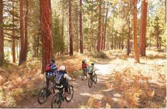 朝阳今年新建公园,朝阳即将开工的公园