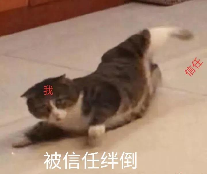 14岁女孩网上被骗,女子在交友网站被骗94万抓捕现场