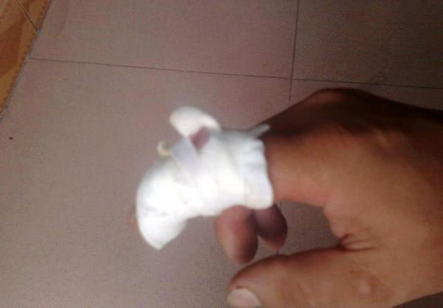 钓黑鱼妙招,钓黑鱼最好的办法视频