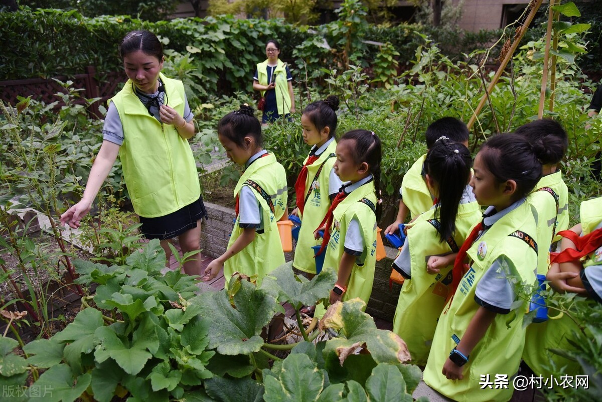 适合农村创业的29个项目,2022乡镇致富新项目