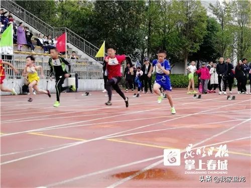 奔跑吧少年中小学生田径运动会,奔跑吧少年田径比赛重庆决赛