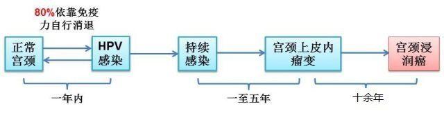 HPV疫苗不能代替宫颈癌筛查，这样做才保险！
