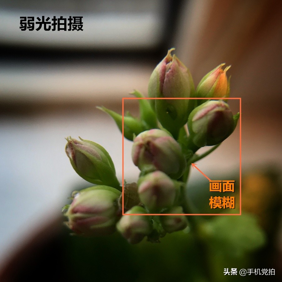 手机照片放大后模糊怎么变清晰,苹果手机拍照模糊怎样才能变清晰