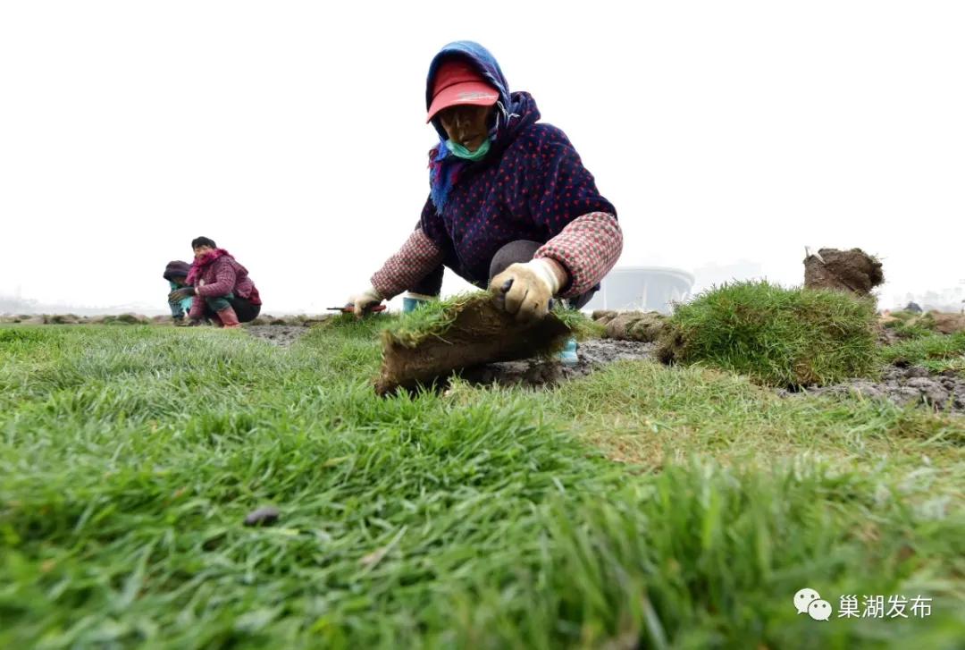 新型足球场草坪,人工草坪足球场建设全过程