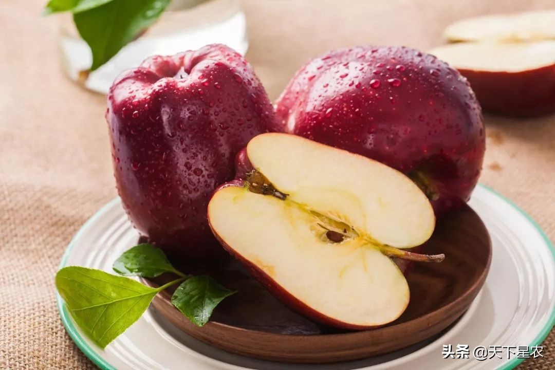 菠萝凤梨樱桃车厘子图,成都车厘子和樱桃的区别