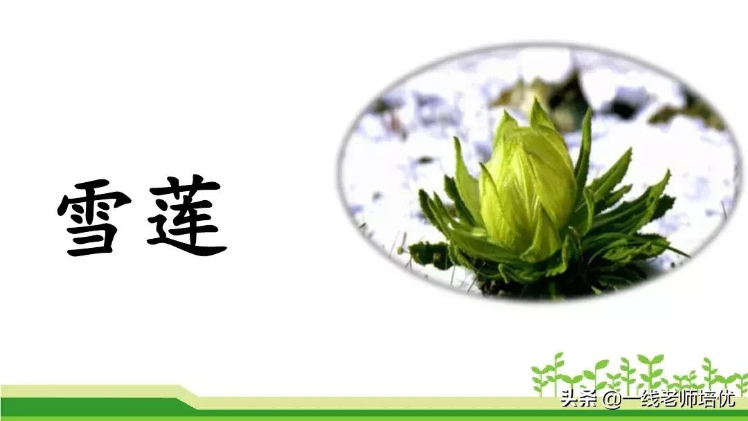 二年级上册语文园地七展示台教学,二年级上册语文园地七的日积月累