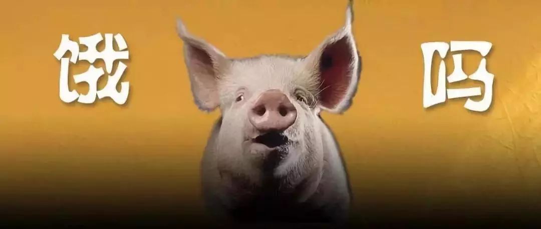 雏鹰农牧退市蹊跷恐有人恶意做空,雏鹰农牧股价最新消息