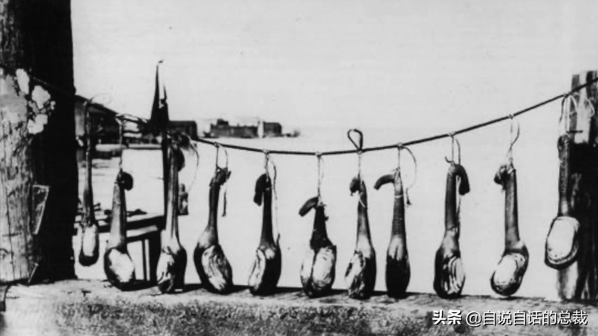 海鲜蛤蜊与蛤蜊区分,蛏子与小人蚬的区别