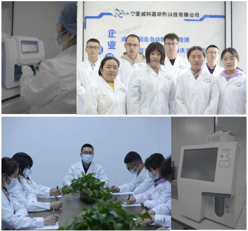 动物疫病检测国家实验室有哪家,畜牧疾病检测机构