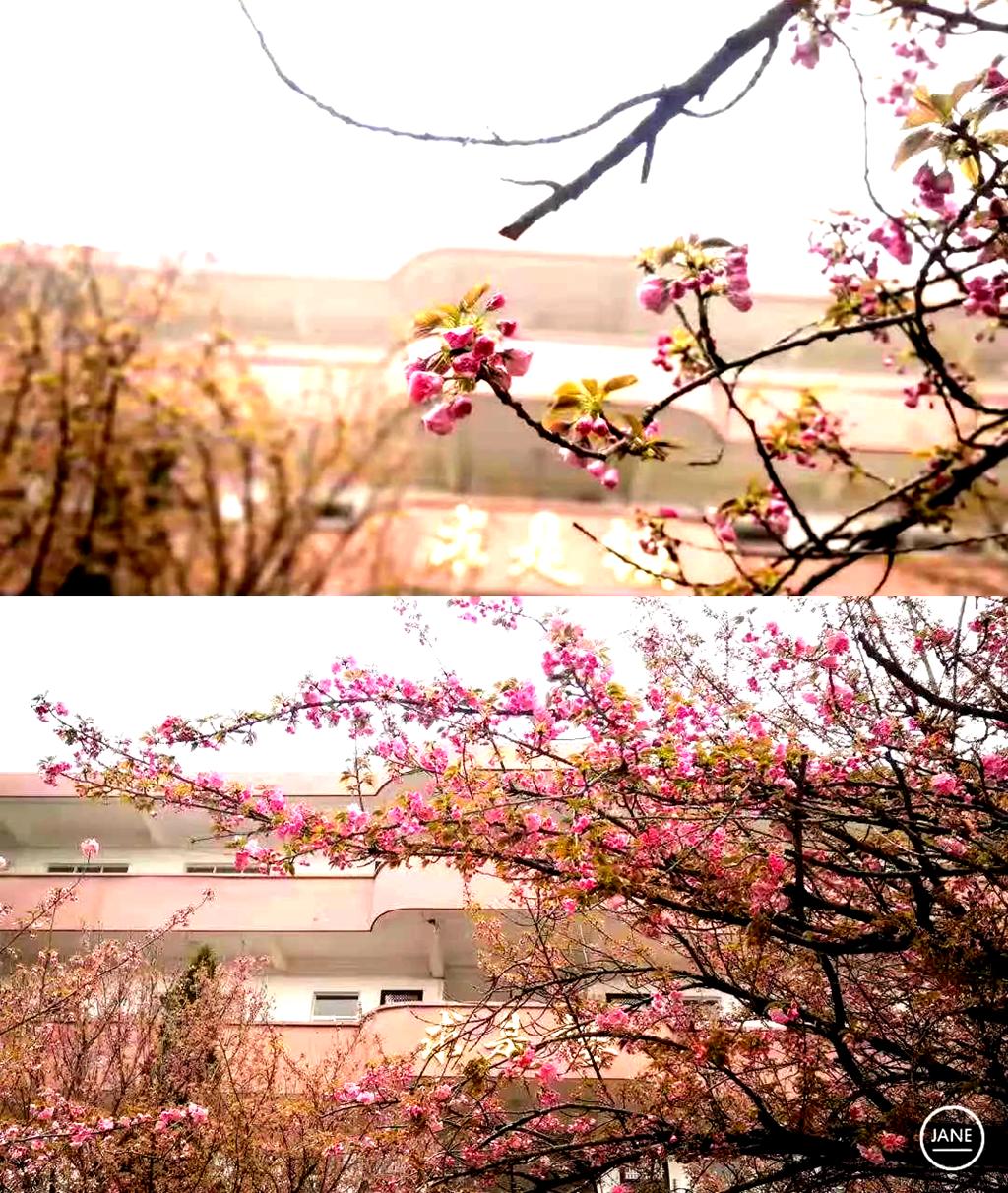 许昌市第三高级中学教室,许昌市第三高级中学地理位置