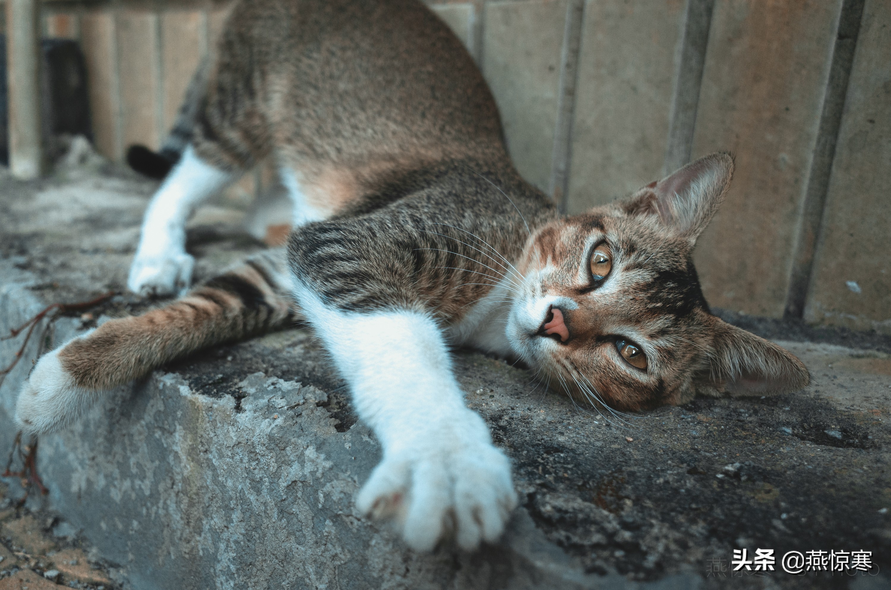 宾得相机配理光的镜头,宾得理光镜头推荐