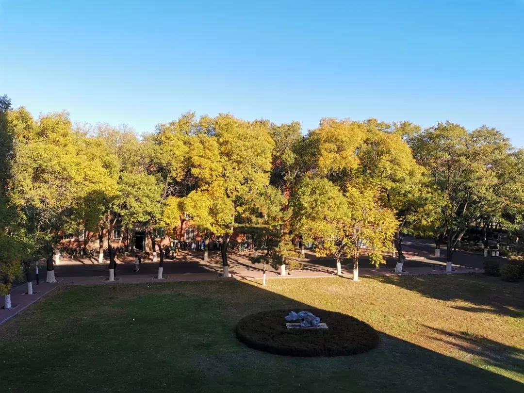 辽宁工程技术大学辽宁省分数线,辽宁工程技术大学在辽宁省排名