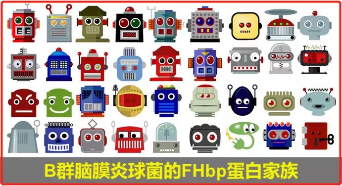 流脑b群疫苗香港,流脑b群疫苗