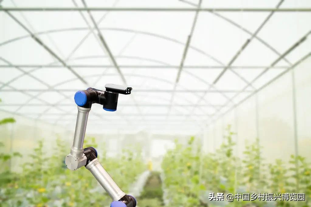 乡村振兴领域涉及哪些部门,乡村振兴最全解读