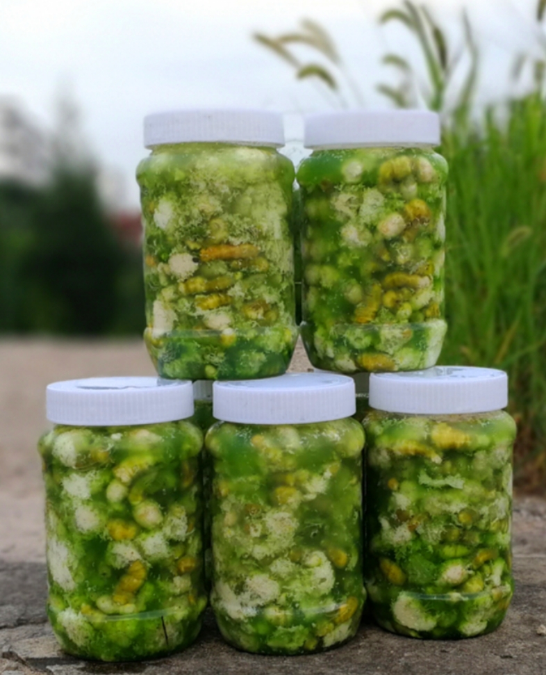 各种虫子美食大总结,关于虫子的重口味美食