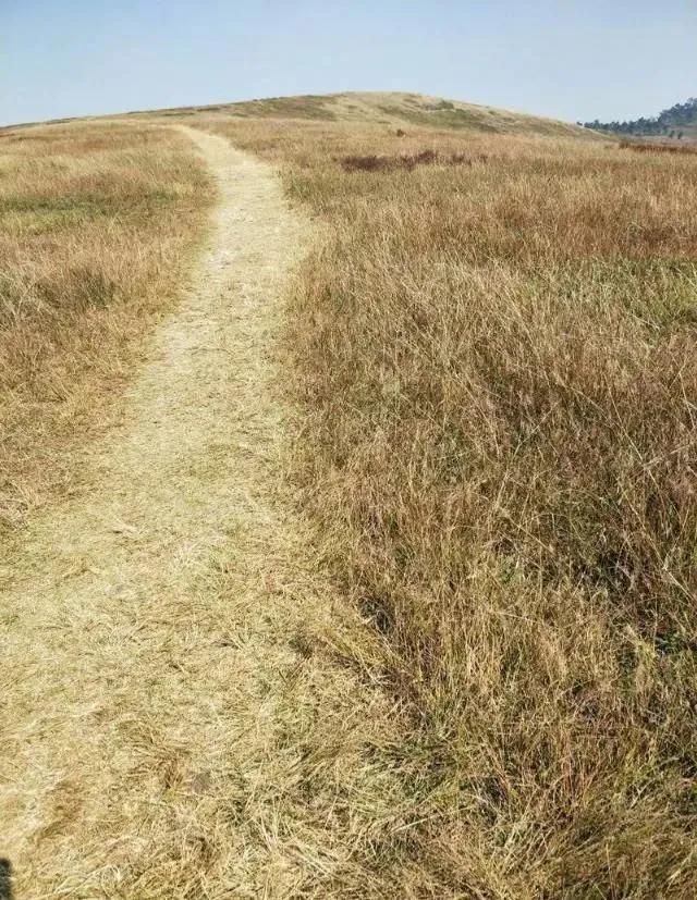 想不通就去爬山看海吧,呼伦贝尔大草原自驾游攻略