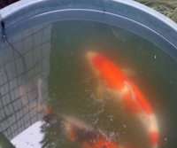 开渔场赚钱吗,开渔场需要多少资金