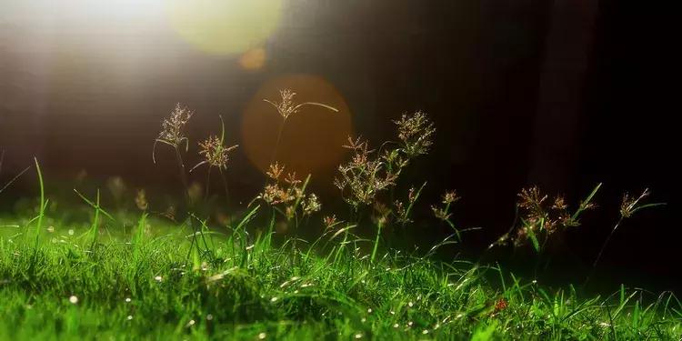 深圳莲花山看深圳风景,深圳莲花山有什么特别的地方