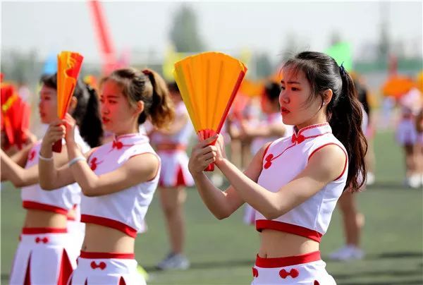 中国矿业大学专升本招生简章,宁夏矿业大学专升本录取分数线