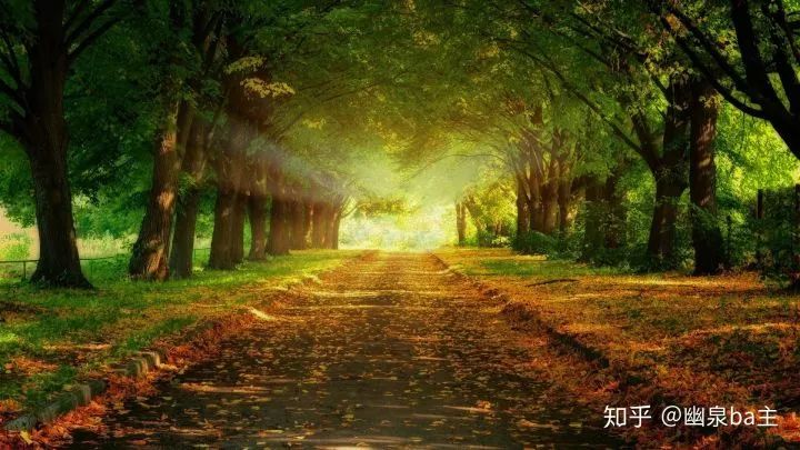 133%高色域和100%高色域,126%srgb色域什么水平