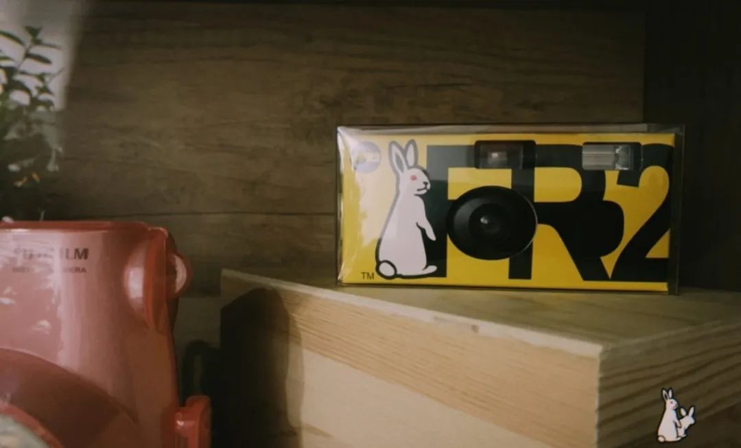 佛山女子与男友、男友妈弟住76㎡，养一猫还要工作室，装修绝了