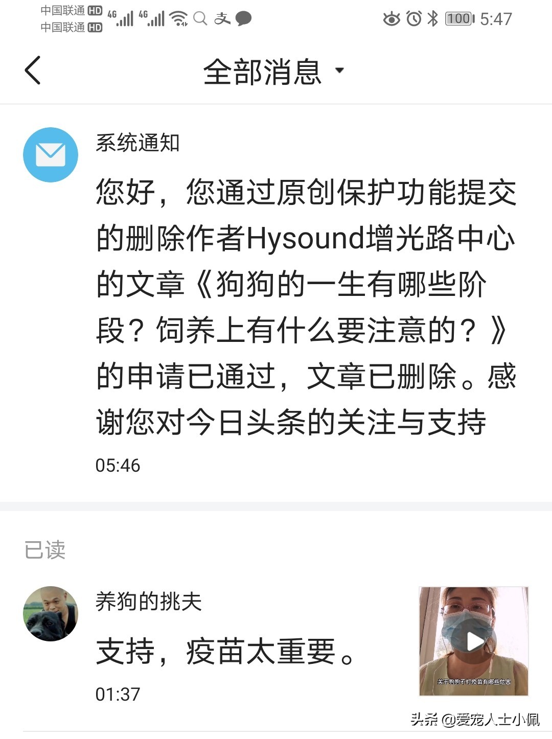 刚满月的幼犬能喝水吗,幼犬满月不拉不尿会死吗