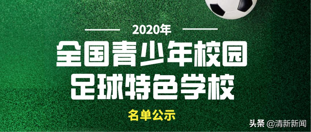 清新学校排名,清新区第三中学在清新排名