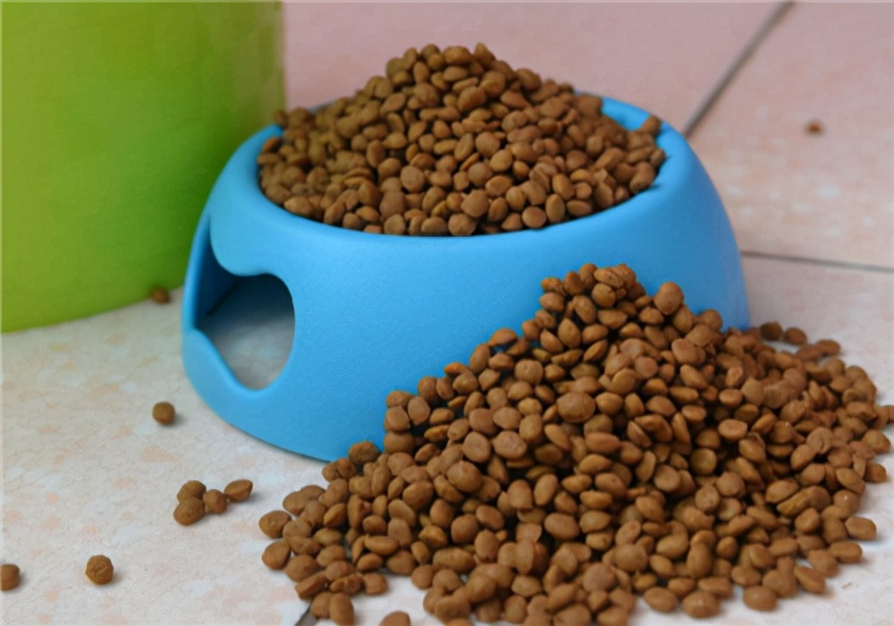 狗拉稀的症状及调理方法,狗狗拉稀了怎么回事及解决方法