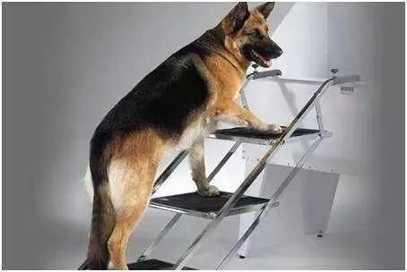 人生的裂变从第一套房子开始一套变二套二套到四套