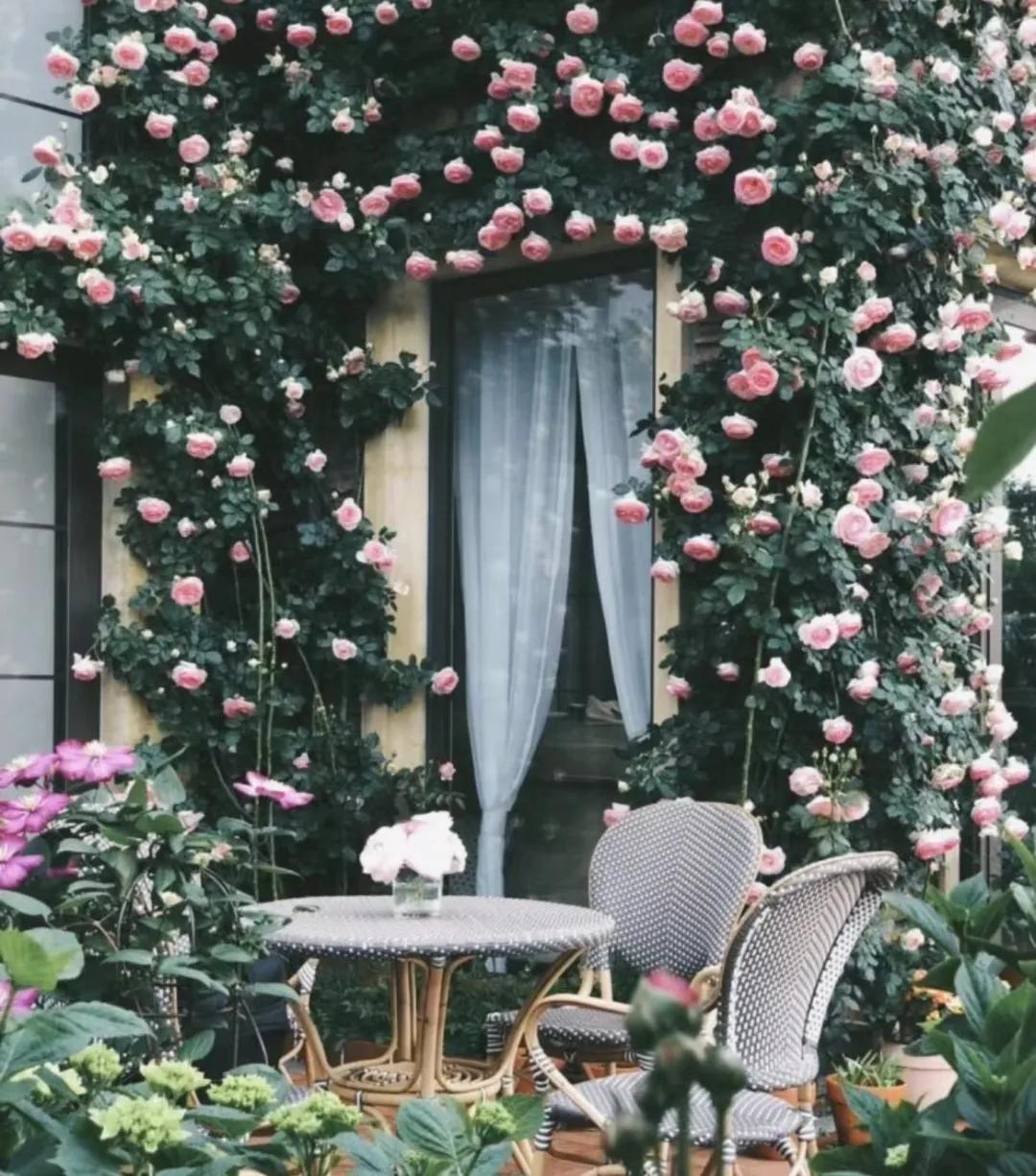 一楼值不值得买,现在新小区的一楼值不值得买