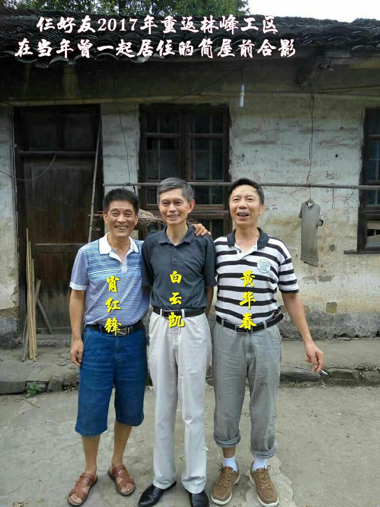 难以释怀的知青情结,60年代的知青情结