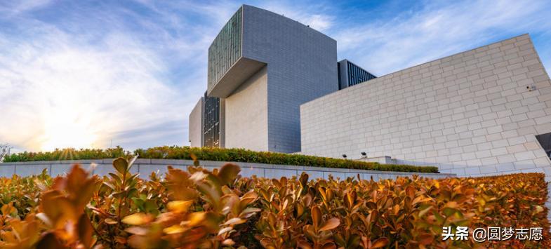 山东省大学就业率排名,山东大学人力资源管理专业就业率