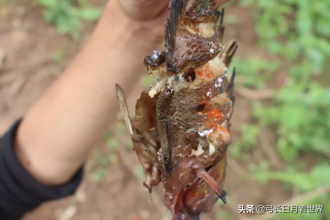 揭秘非洲不为人知的斗鱼直播