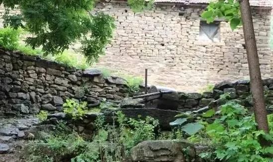 老嫂子直播间,老嫂嫂